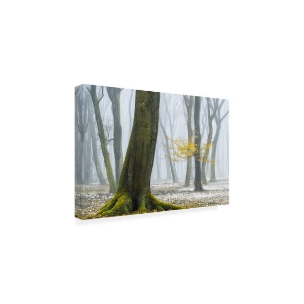 Lars Van De Goor 'Winter Colors Yellow' Canvas Art,16x24